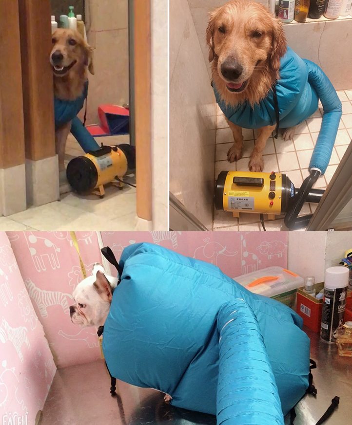 Pet Blow Dryer Bag