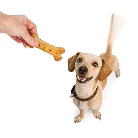 Pet Feeding & Treats