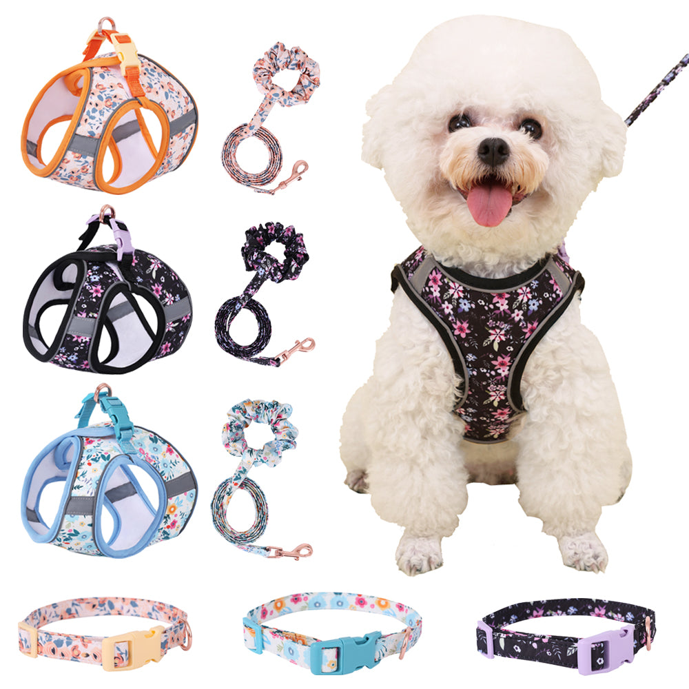 Small Dog & Cat Harness Leash Set